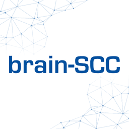 brain-SCC GmbH