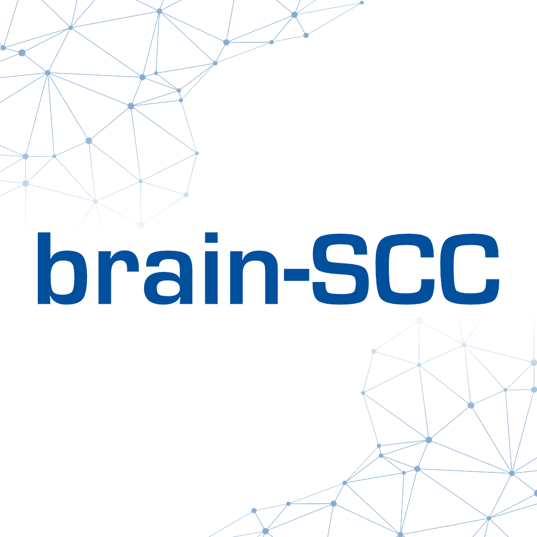 brain-SCC GmbH logo