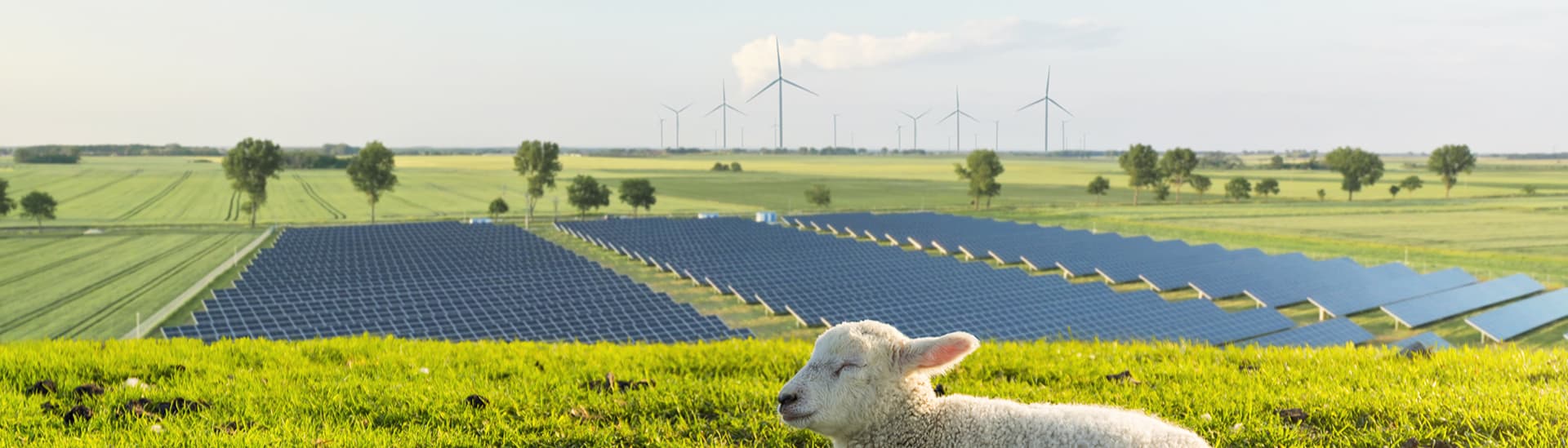 RWE Renewables Deutschland GmbH