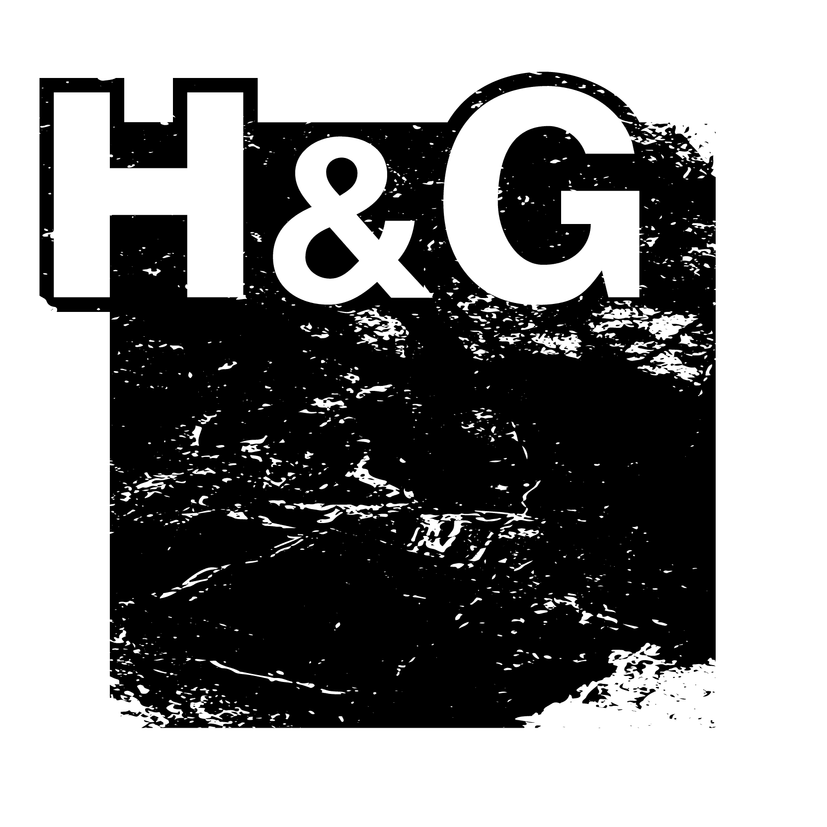 H&G Hansen & Gieraths IT-Solutions GmbH logo