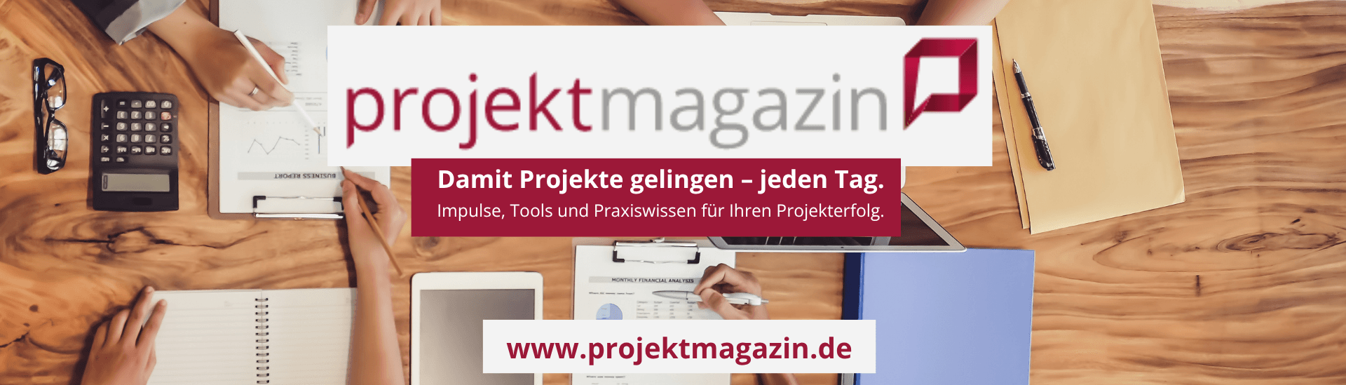 projektmagazin / Berleb Media GmbH